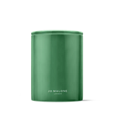 Green Tomato Vine Townhouse Candle