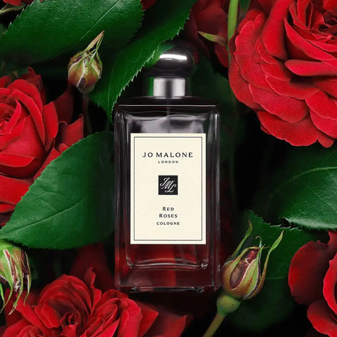 Red Roses Cologne