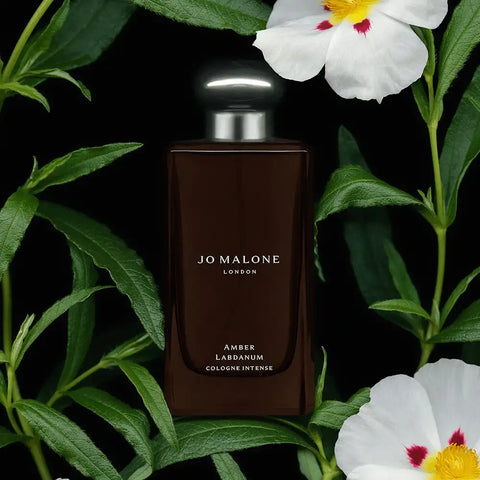 Amber Labdanum Cologne Intense