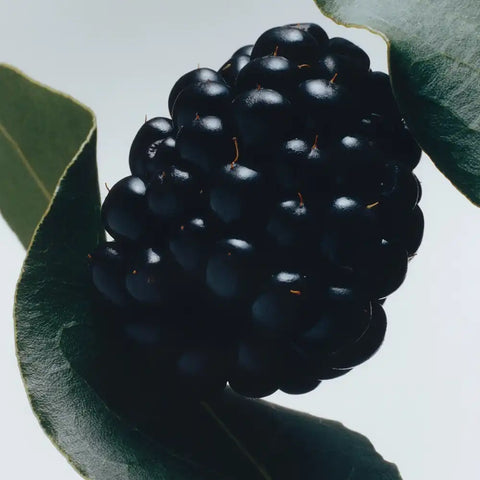 Blackberry & Bay Hand Cream