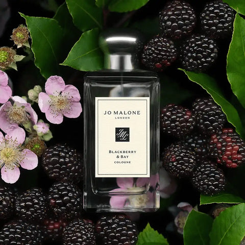 Blackberry & Bay Cologne