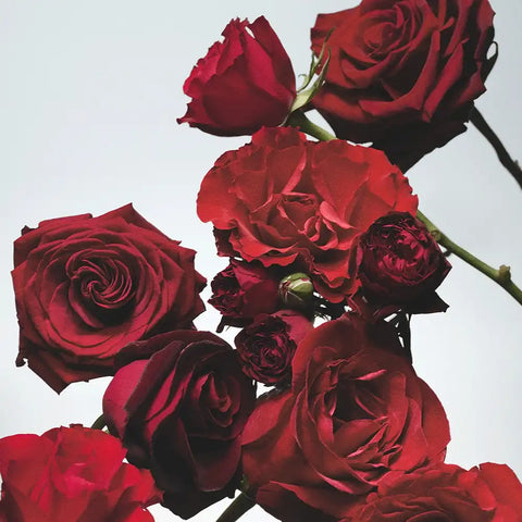 Red Roses Bath Oil