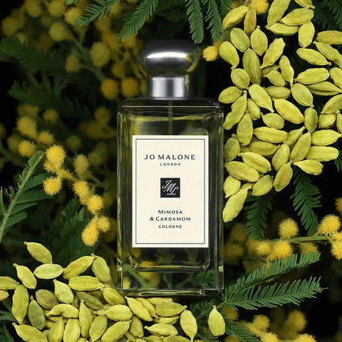 Mimosa & Cardamom Cologne