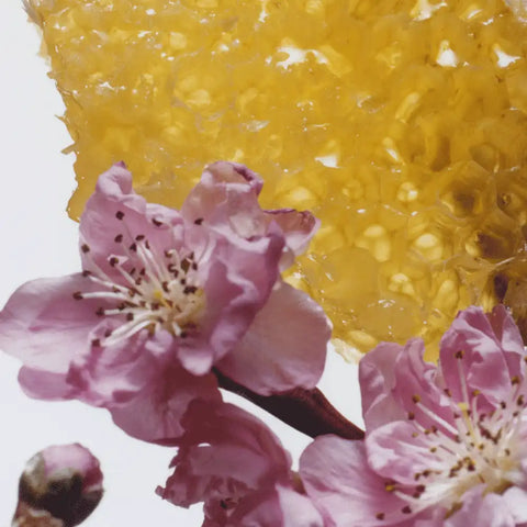 Nectarine Blossom & Honey Body & Hand Wash