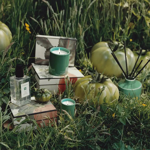 Green Tomato Vine Townhouse Candle