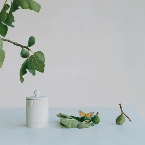 Fresh Fig & Cassis Townhouse Scented Candle