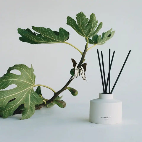Fresh Fig & Cassis Reed Diffuser