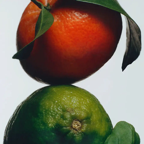 Lime Basil & Mandarin Exfoliating Shower Gel
