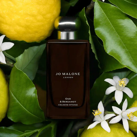 Oud & Bergamot Cologne Intense